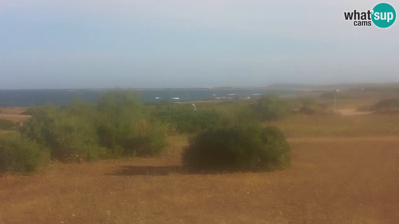 Spiaggia Mari Ermi | Is Arutas – Oristano