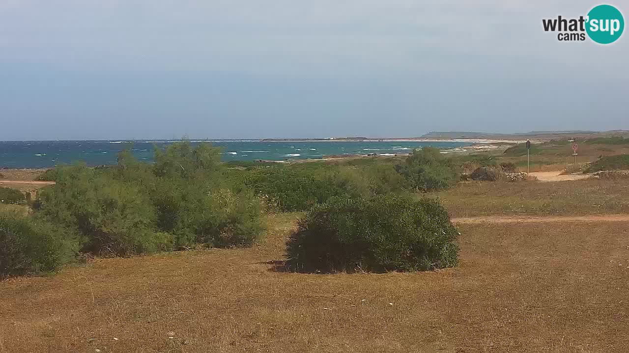 Plage Mari Ermi | Is Arutas – Oristano