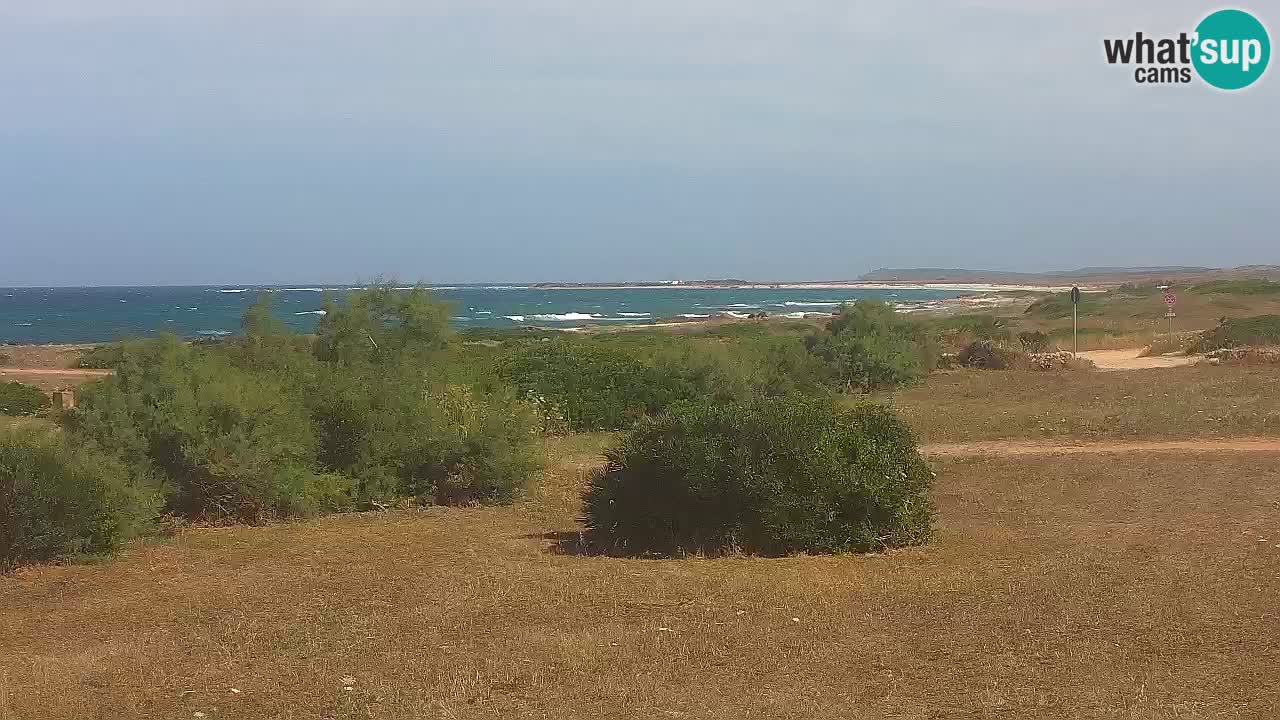 Mari Ermi Strand | Is Arutas – Oristano
