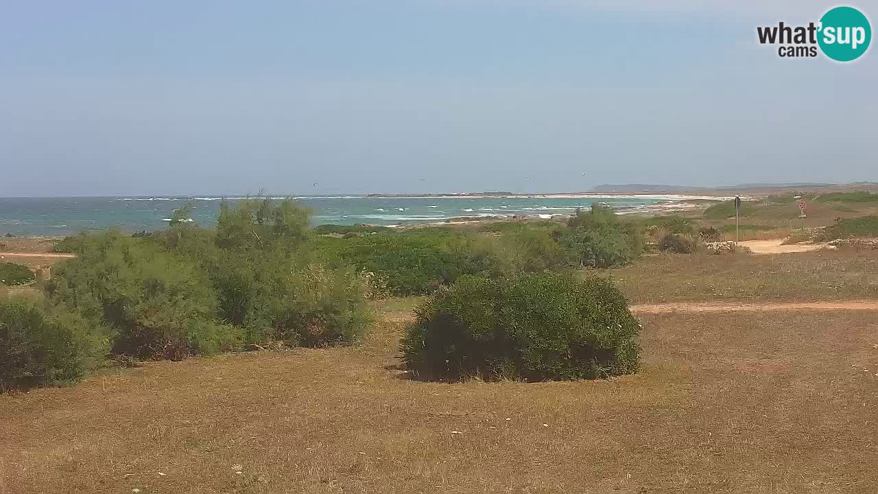 Mari Ermi Strand | Is Arutas – Oristano
