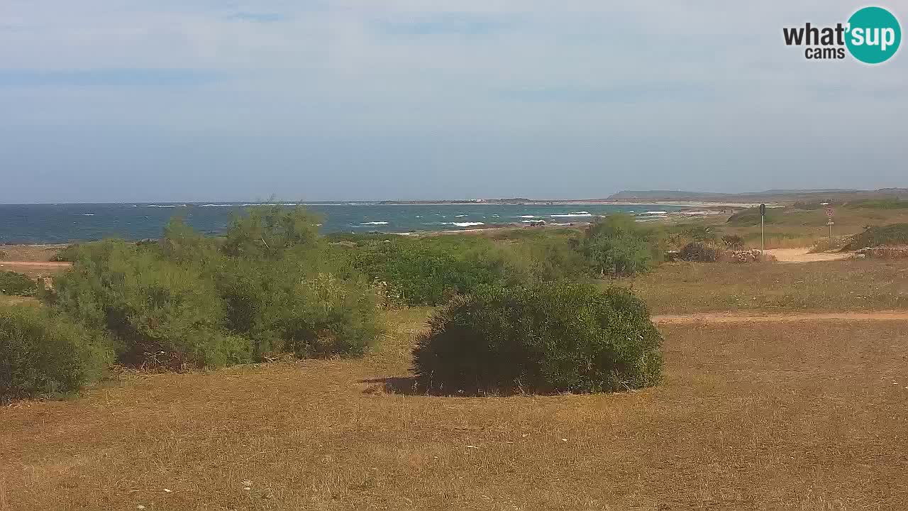 Playa Mari Ermi | Is Arutas – Oristano