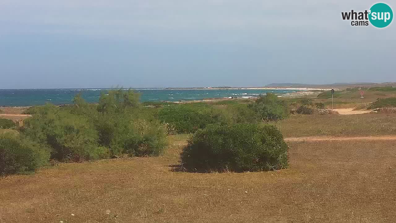 Plaža Mari Ermi | Is Arutas – Oristano