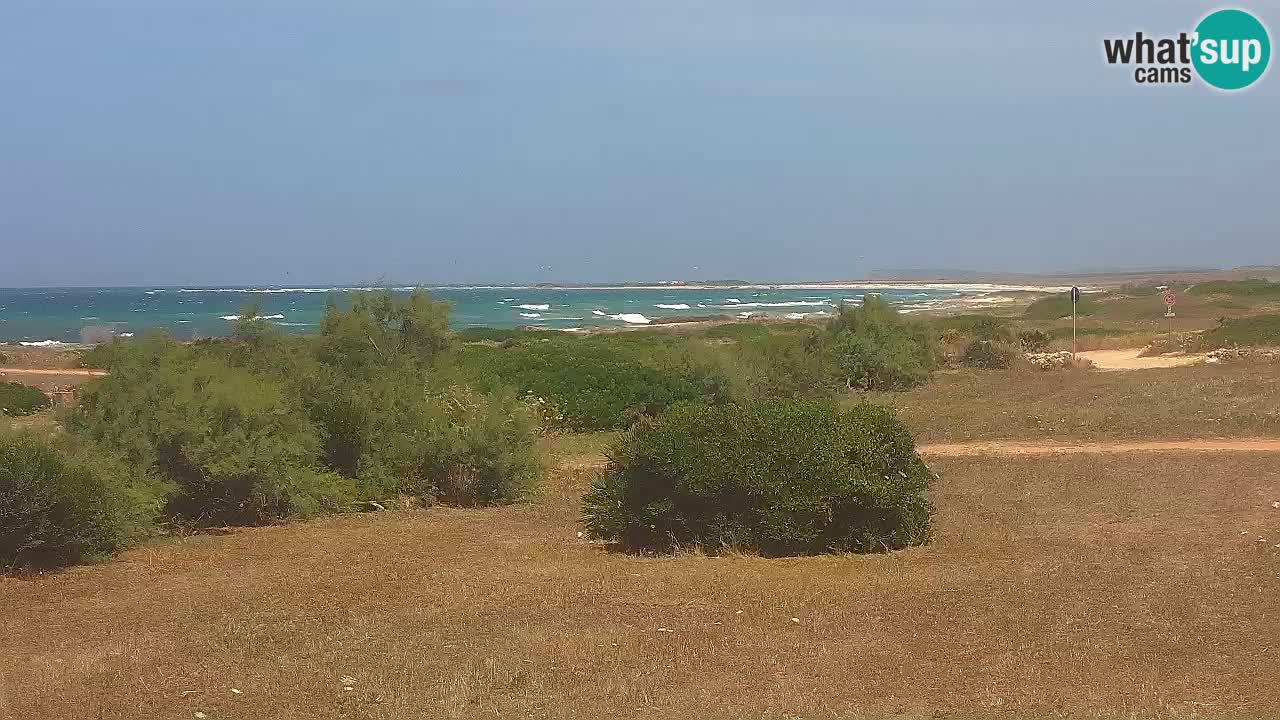 Plage Mari Ermi | Is Arutas – Oristano