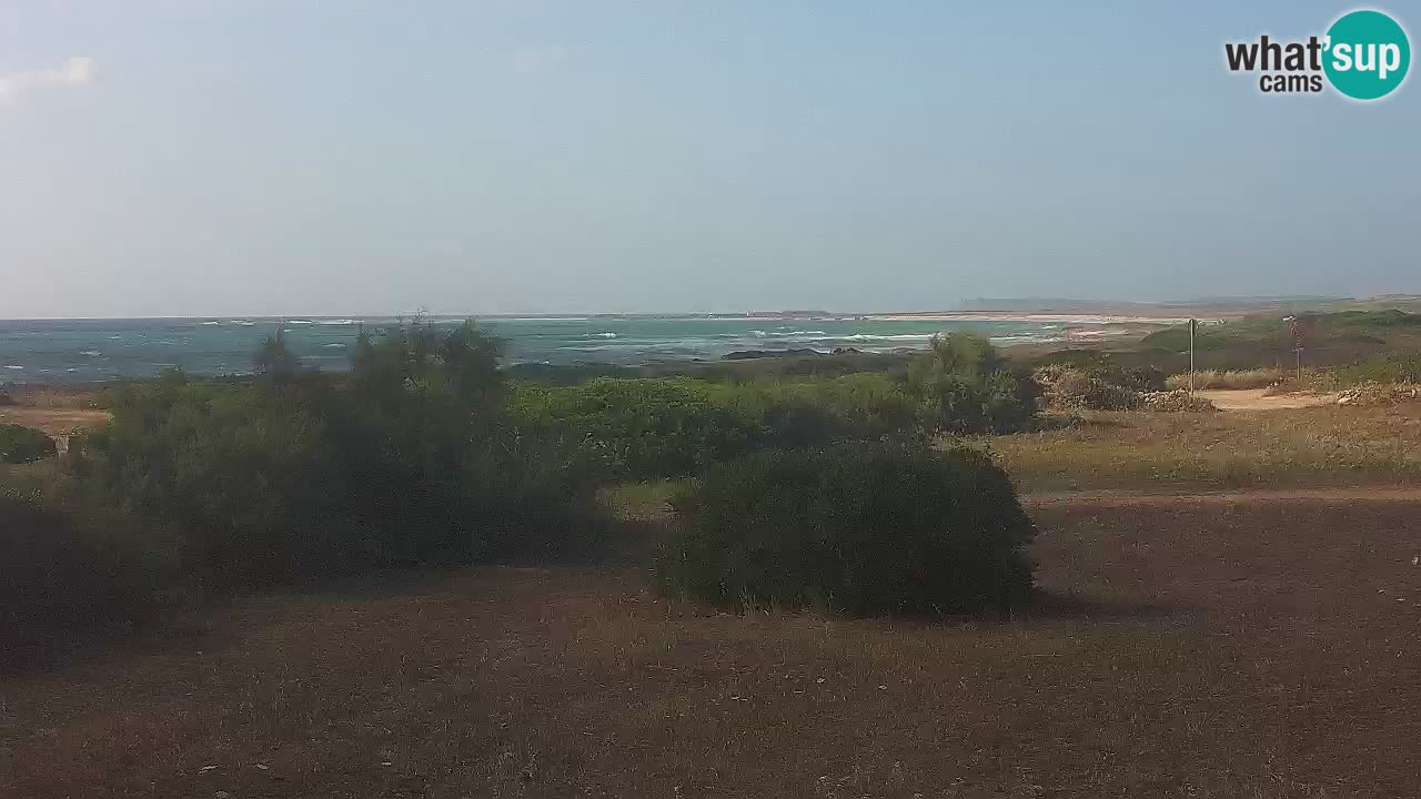 Mari Ermi Strand | Is Arutas – Oristano