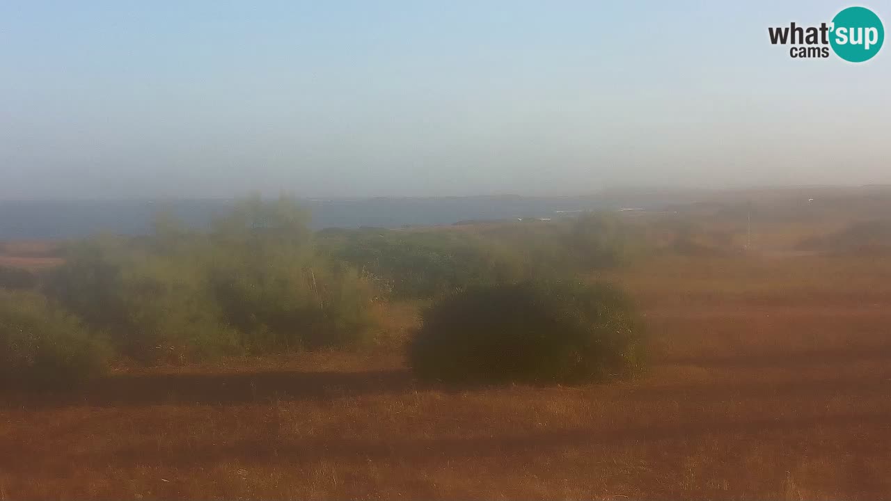 Mari Ermi Strand | Is Arutas – Oristano