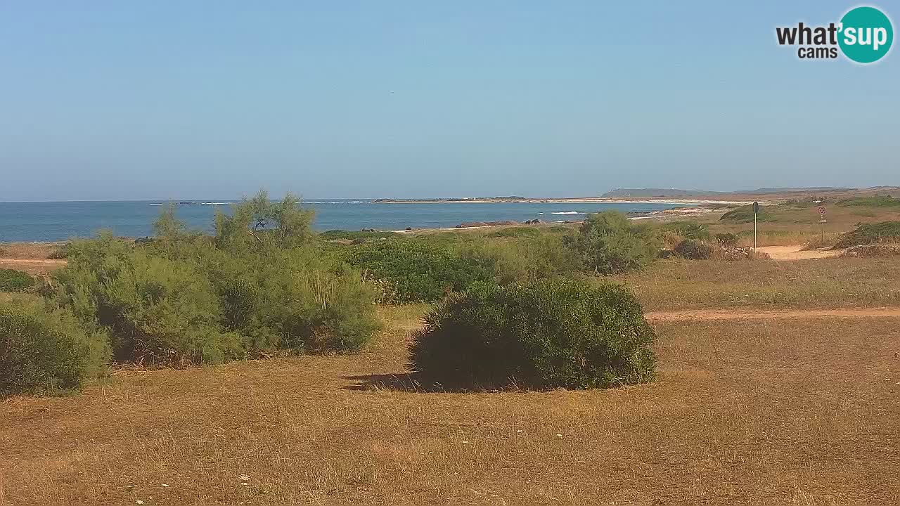 Mari Ermi beach | Is Arutas – Oristano