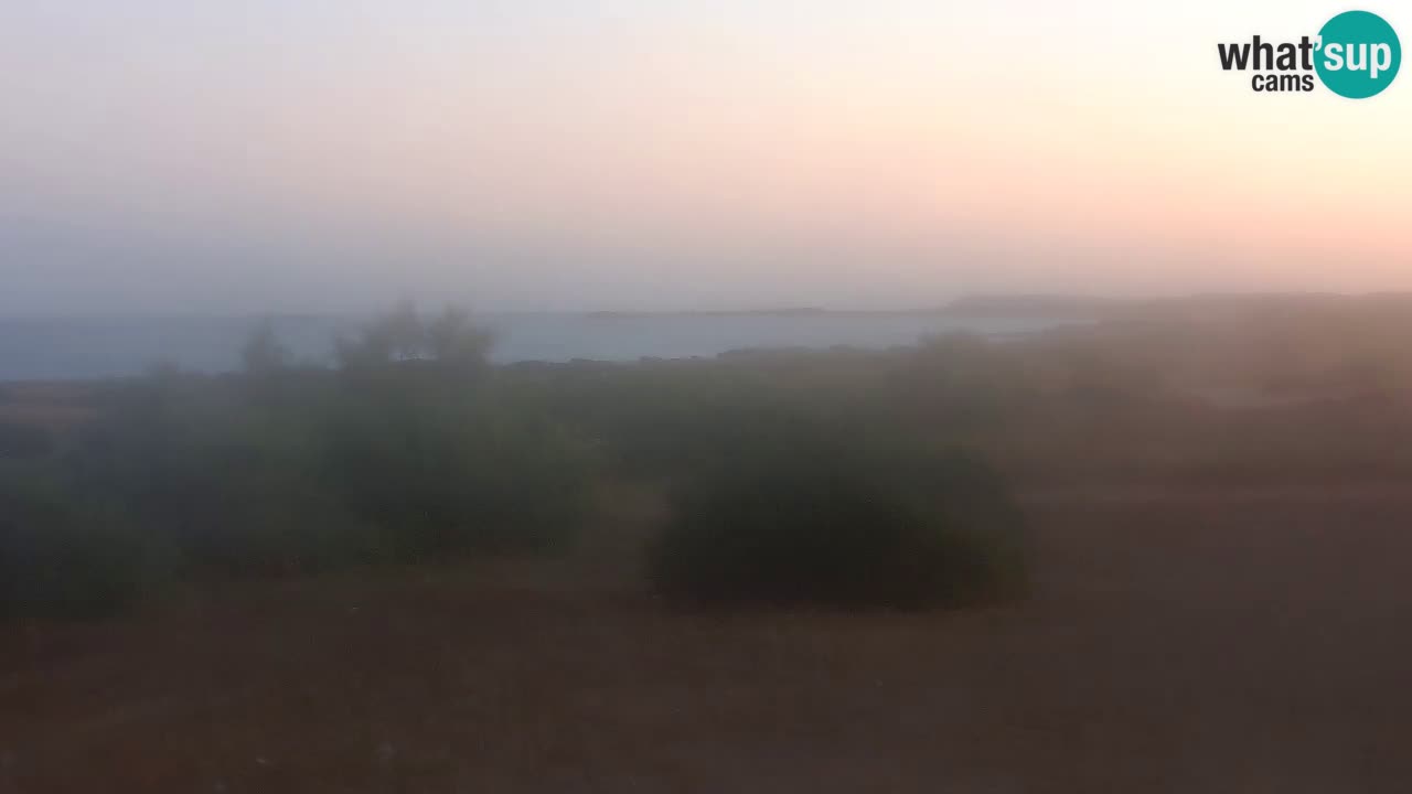 Plaža Mari Ermi | Is Arutas – Oristano