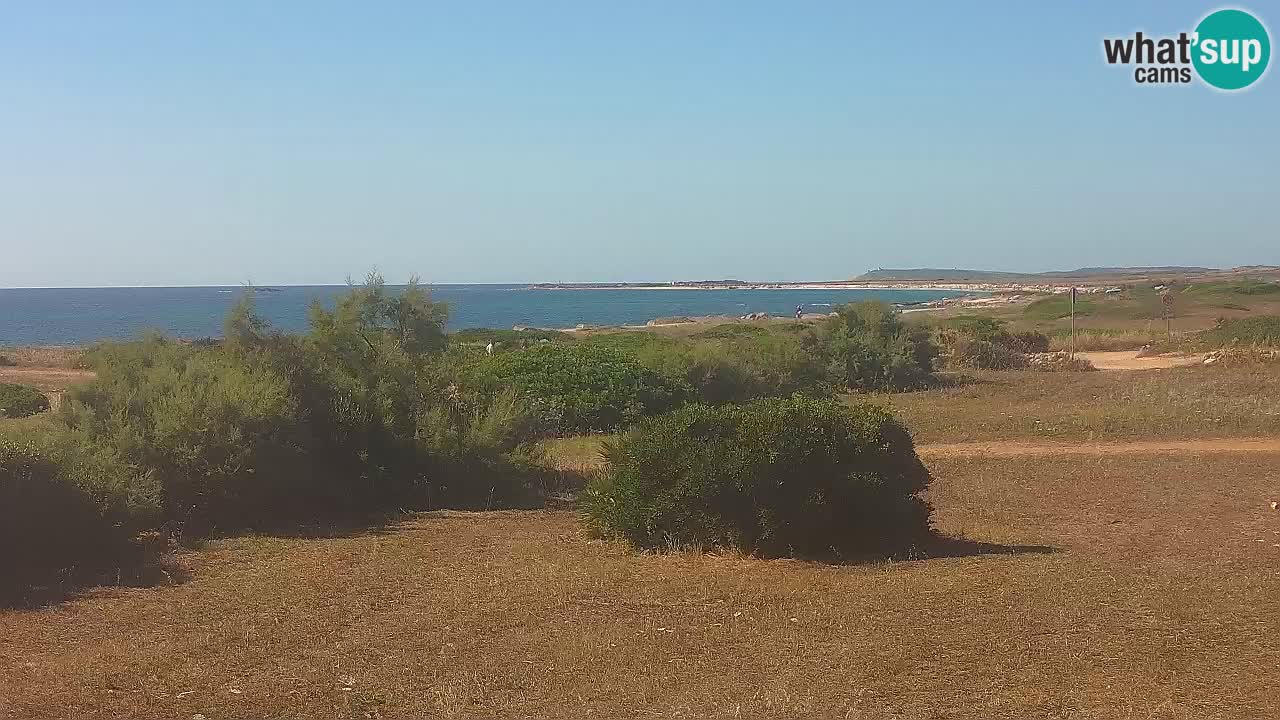 Mari Ermi Strand | Is Arutas – Oristano