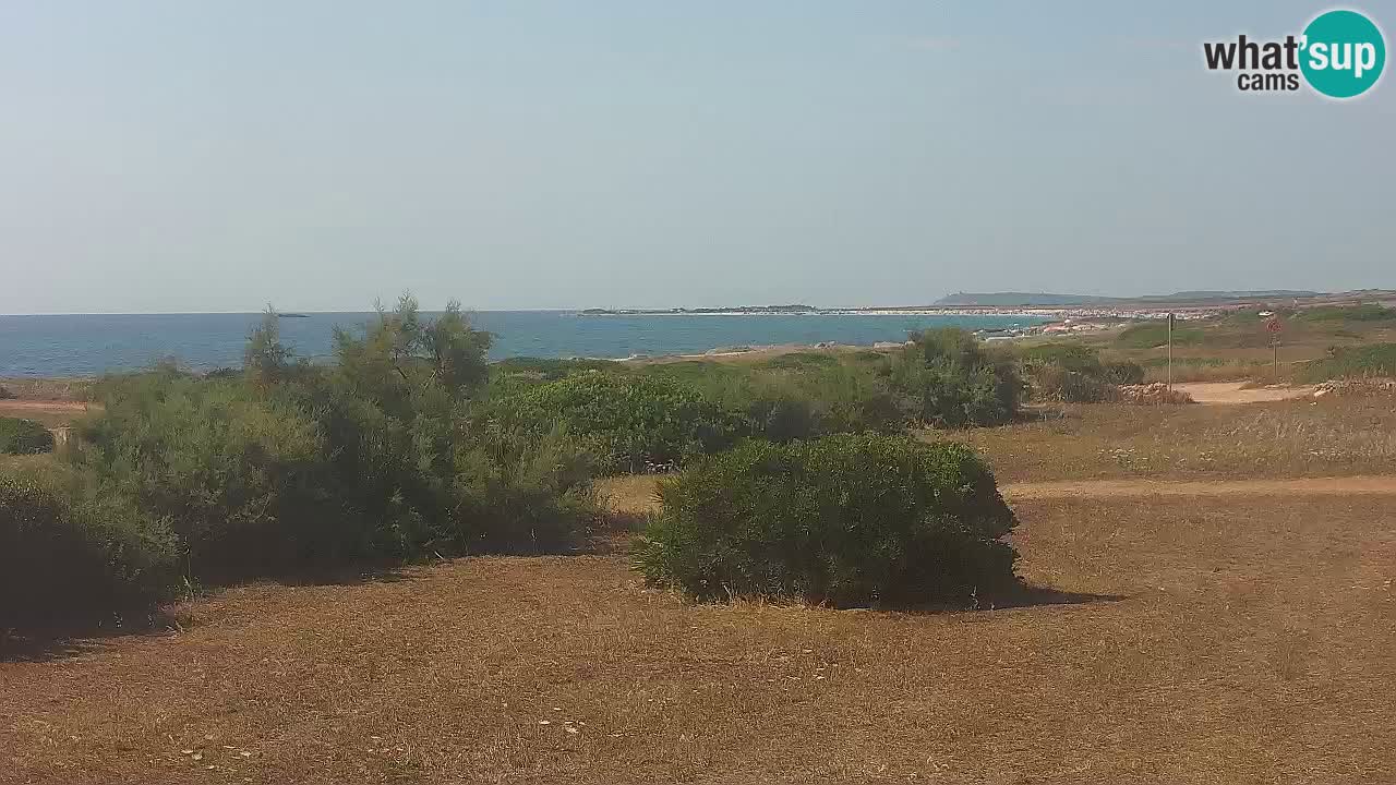 Plaža Mari Ermi | Is Arutas – Oristano