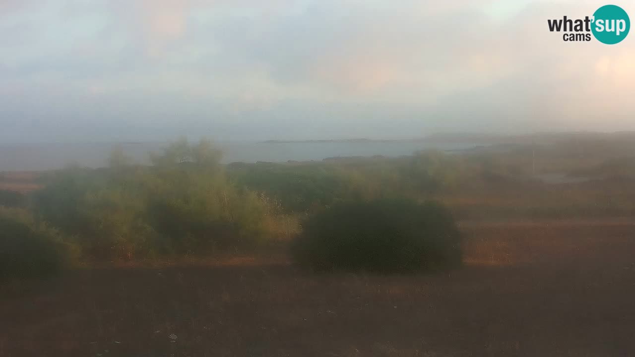 Playa Mari Ermi | Is Arutas – Oristano