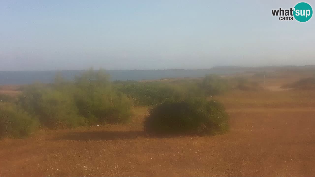 Playa Mari Ermi | Is Arutas – Oristano