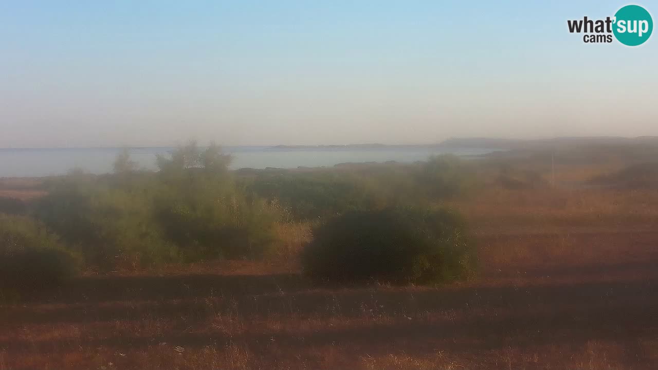 Mari Ermi Strand | Is Arutas – Oristano