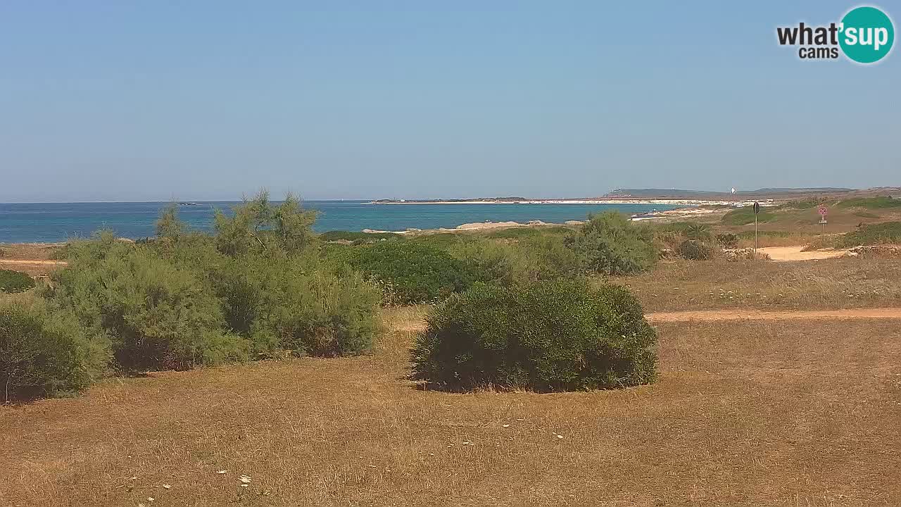Mari Ermi beach | Is Arutas – Oristano