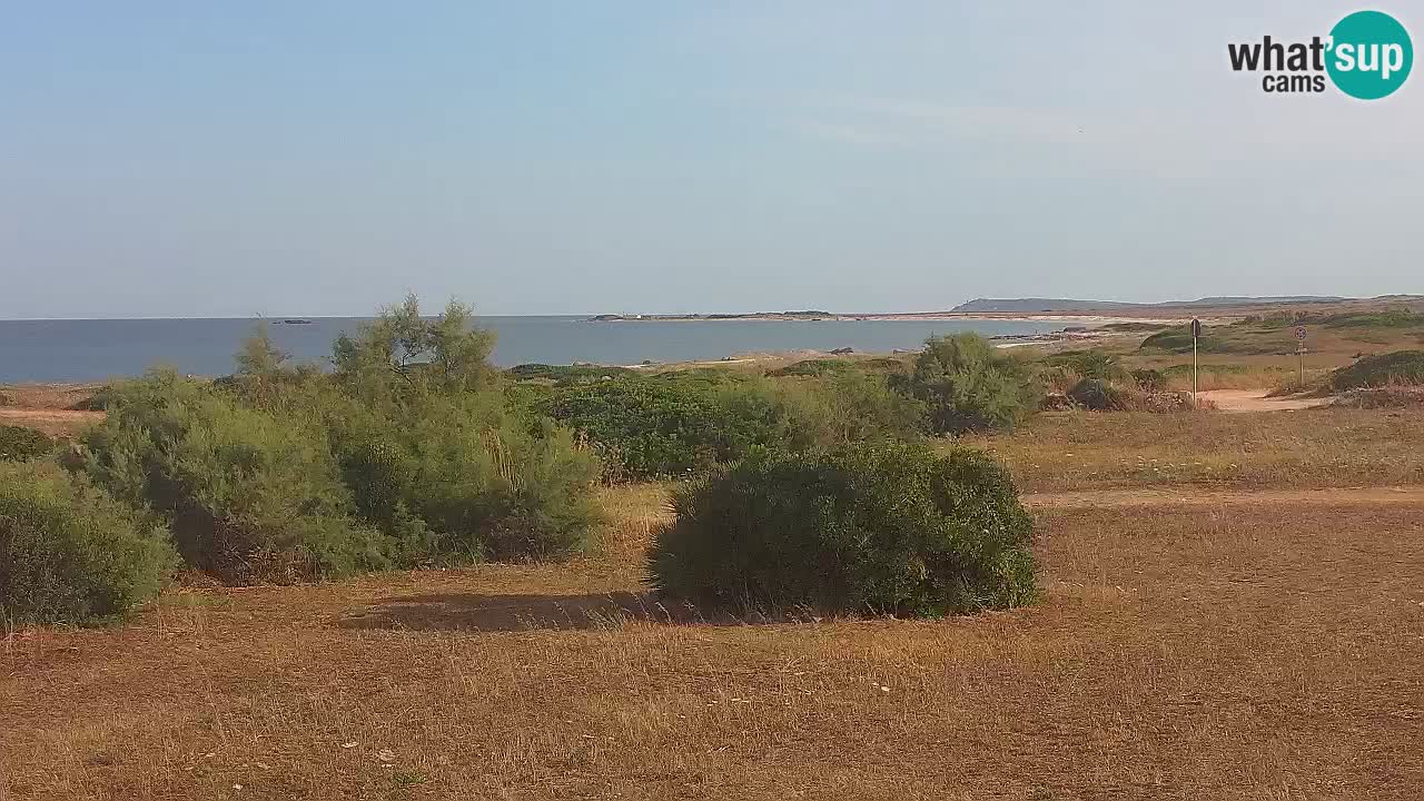 Playa Mari Ermi | Is Arutas – Oristano