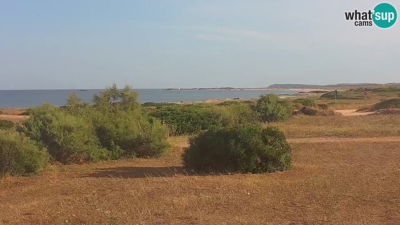 Playa Mari Ermi | Is Arutas – Oristano