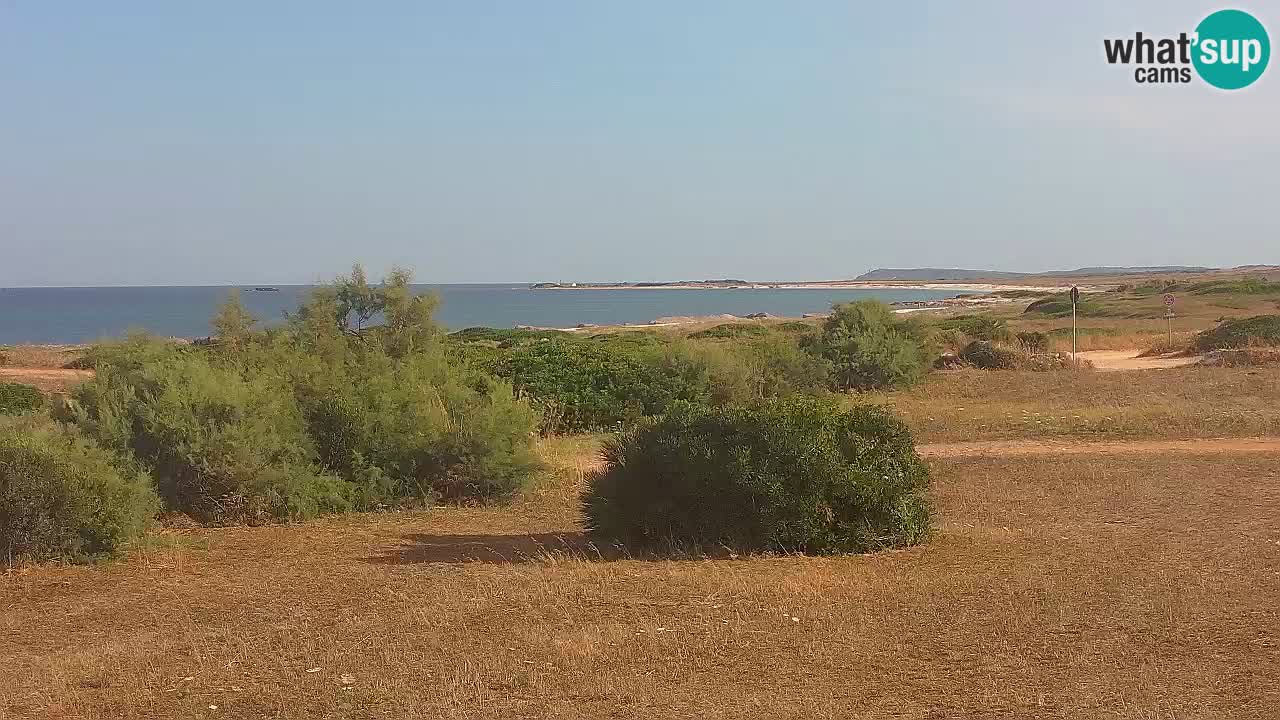 Mari Ermi Strand | Is Arutas – Oristano