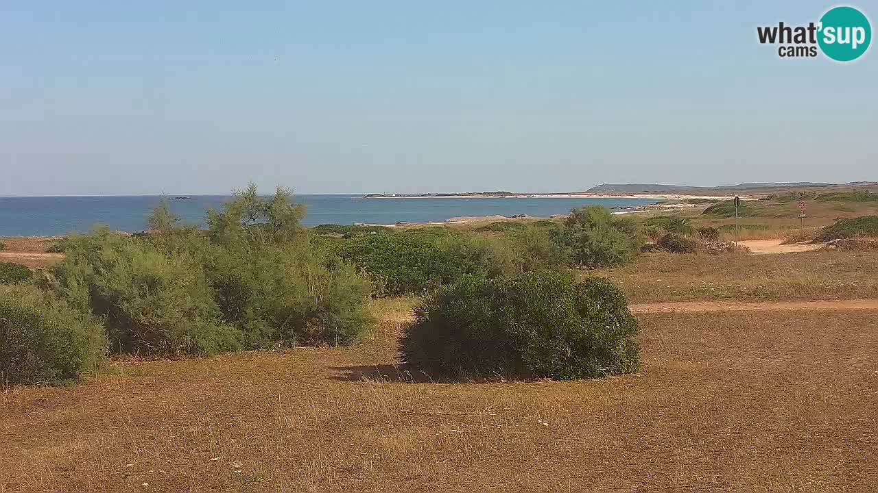 Playa Mari Ermi | Is Arutas – Oristano