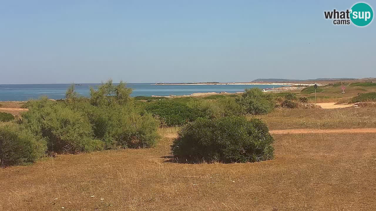 Mari Ermi Strand | Is Arutas – Oristano