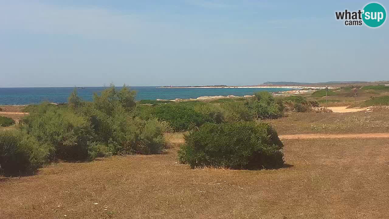 Playa Mari Ermi | Is Arutas – Oristano