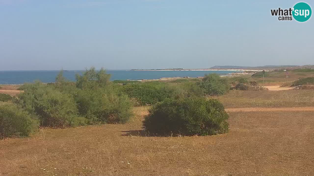Mari Ermi beach | Is Arutas – Oristano