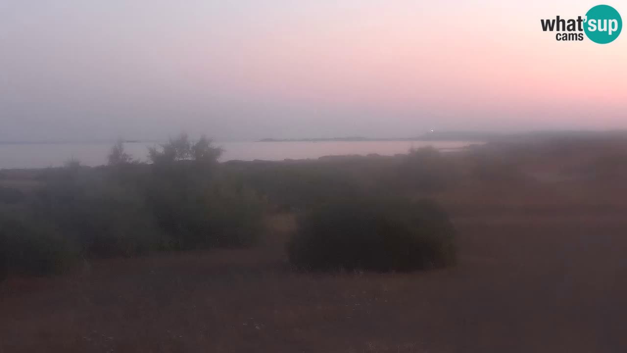 Mari Ermi Strand | Is Arutas – Oristano