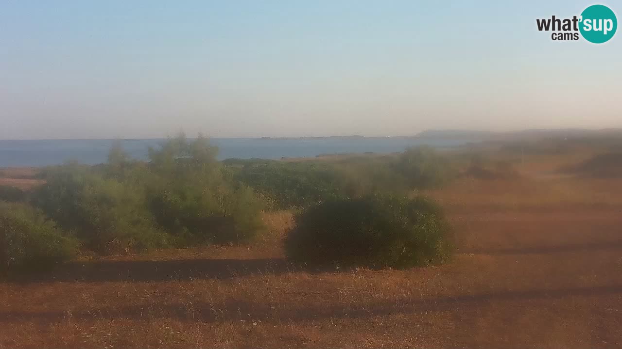 Playa Mari Ermi | Is Arutas – Oristano