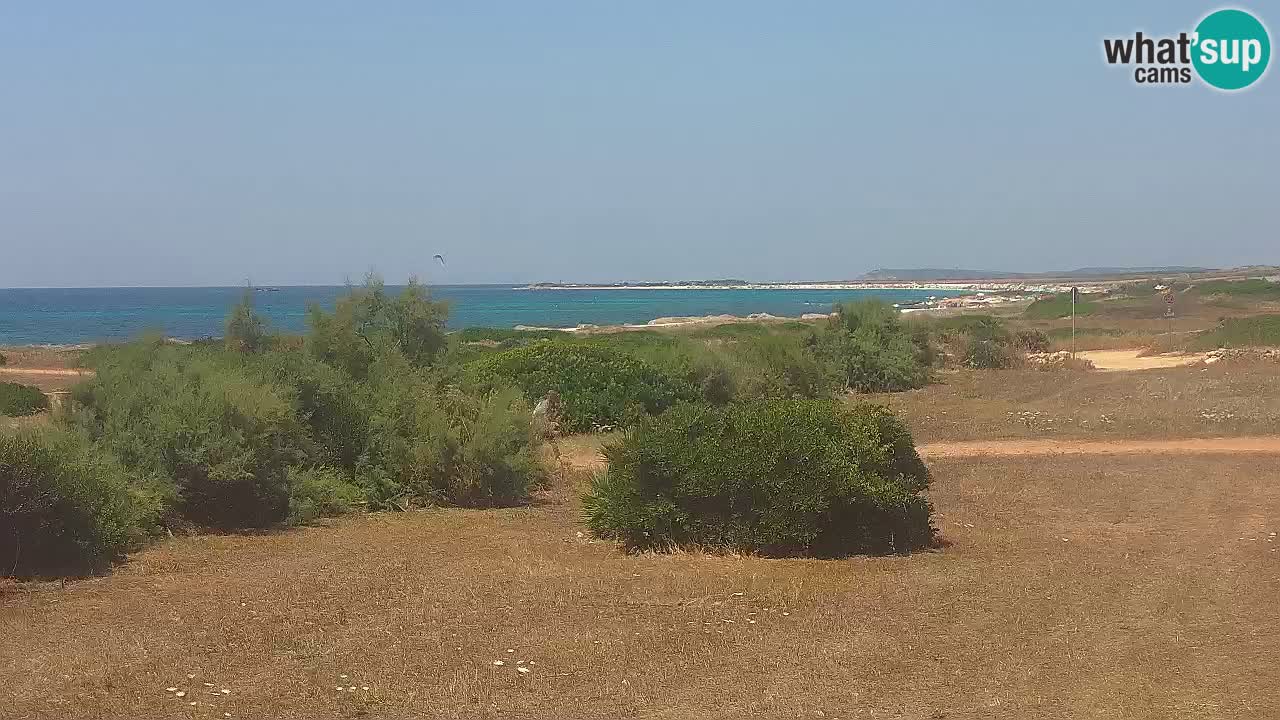 Mari Ermi beach | Is Arutas – Oristano