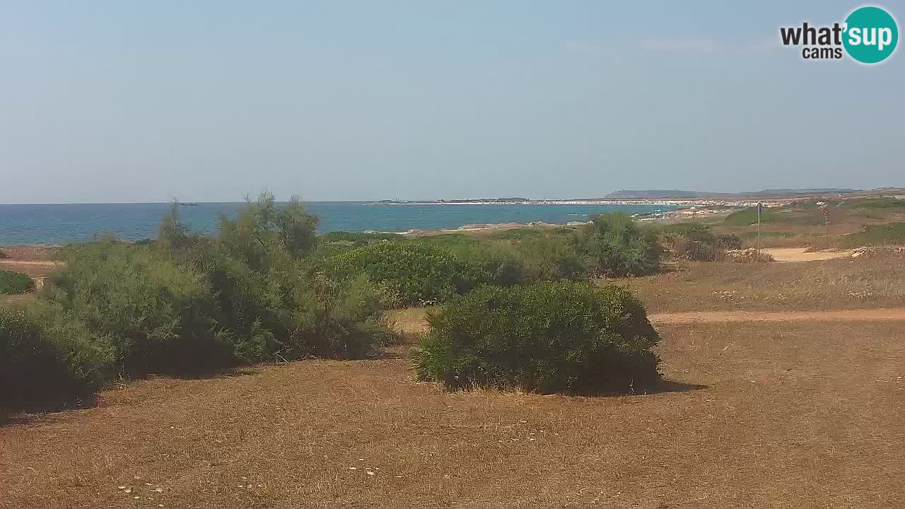 Plaža Mari Ermi | Is Arutas – Oristano
