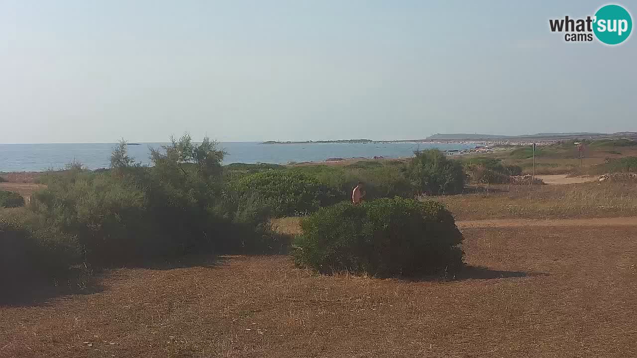 Plaža Mari Ermi | Is Arutas – Oristano