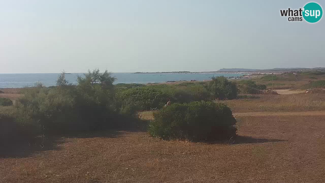 Mari Ermi Strand | Is Arutas – Oristano
