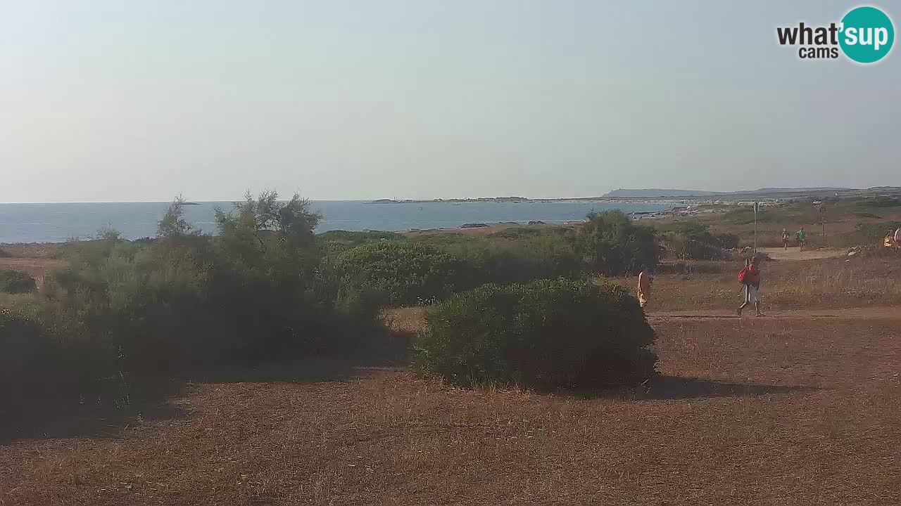 Mari Ermi beach | Is Arutas – Oristano