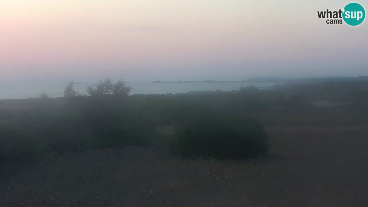 Mari Ermi Strand | Is Arutas – Oristano