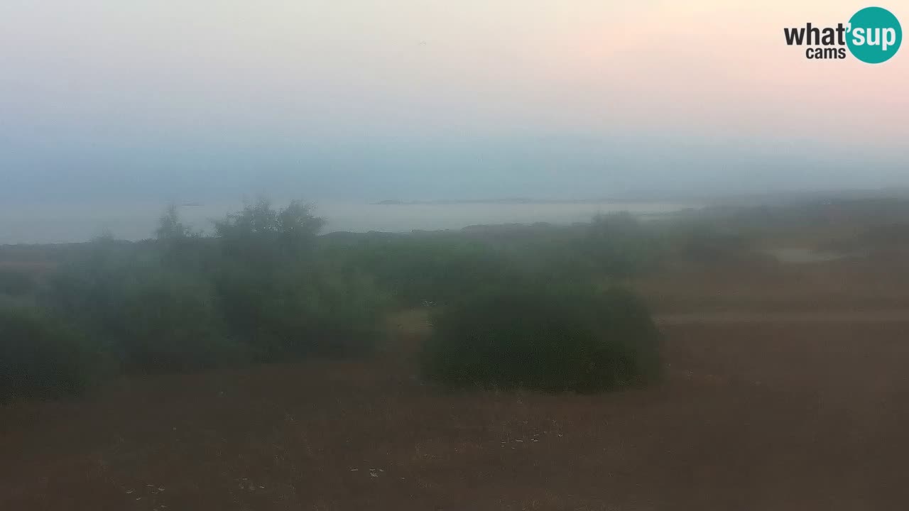 Plage Mari Ermi | Is Arutas – Oristano