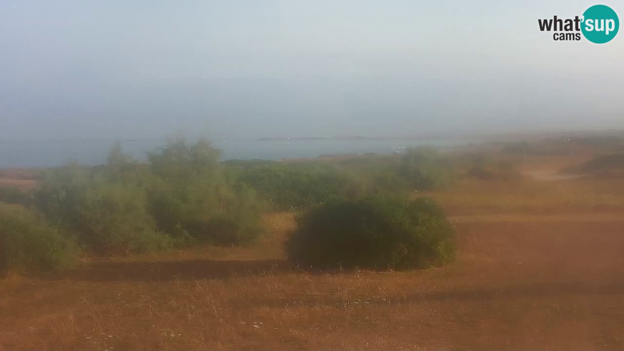 Mari Ermi Strand | Is Arutas – Oristano