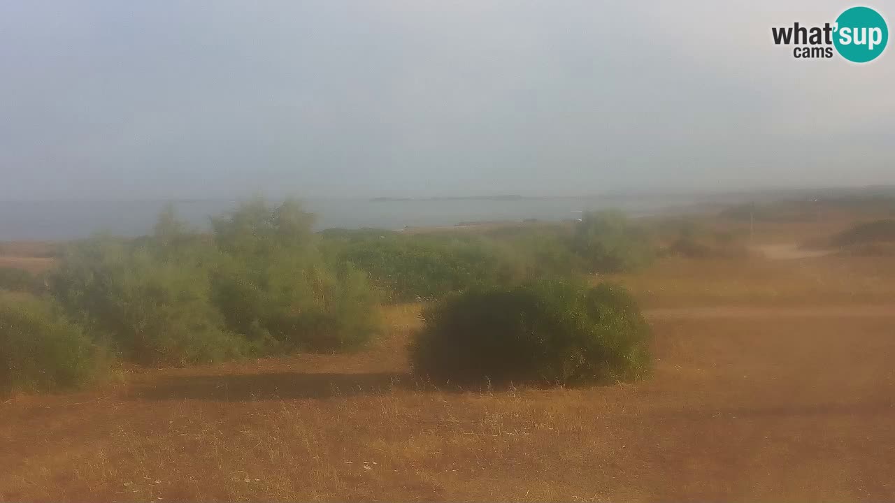 Mari Ermi Strand | Is Arutas – Oristano