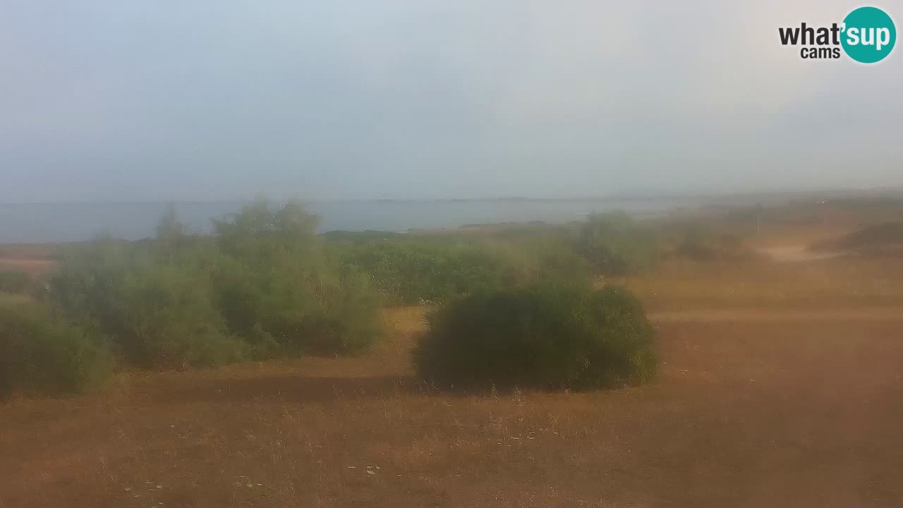 Playa Mari Ermi | Is Arutas – Oristano