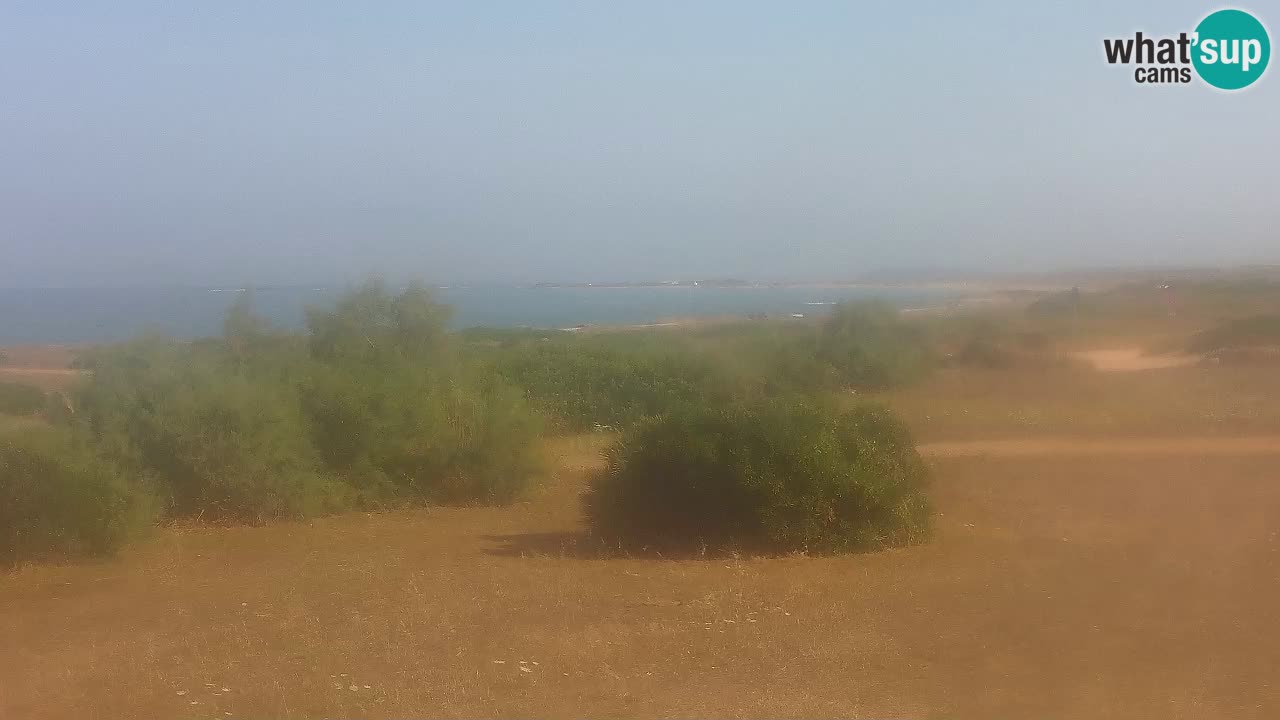Plage Mari Ermi | Is Arutas – Oristano