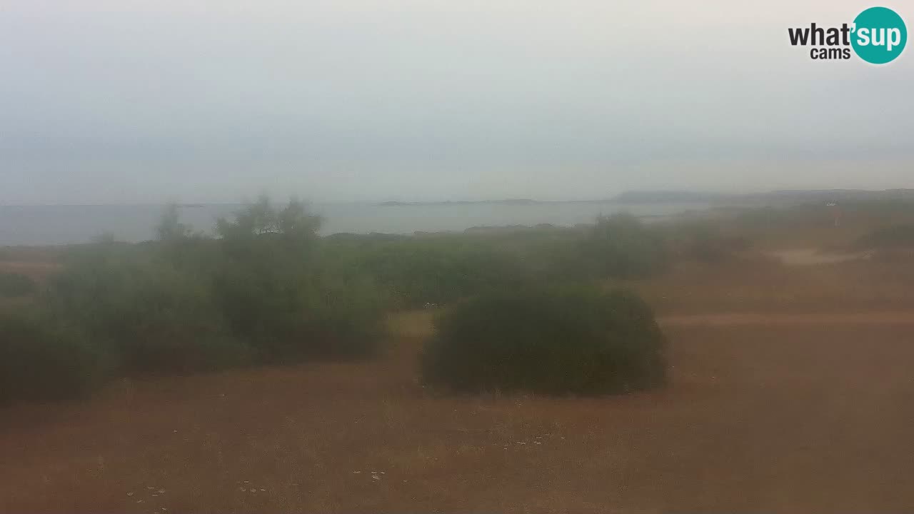 Spiaggia Mari Ermi | Is Arutas – Oristano