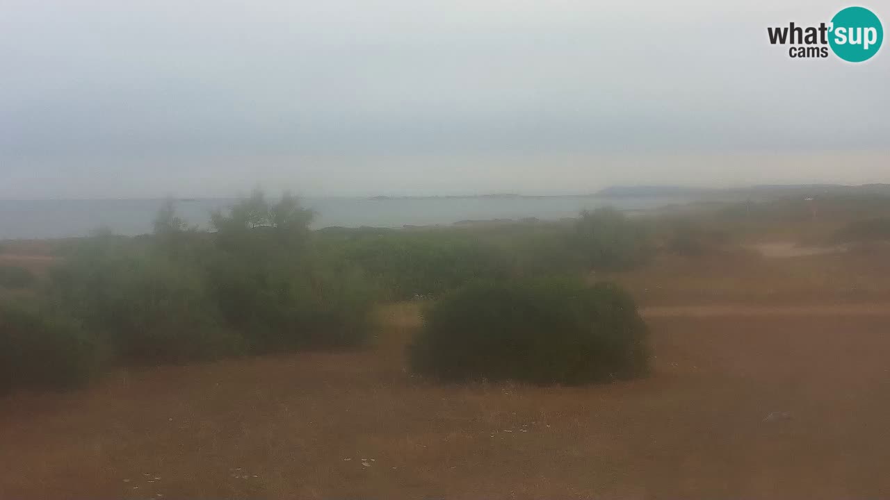 Plage Mari Ermi | Is Arutas – Oristano