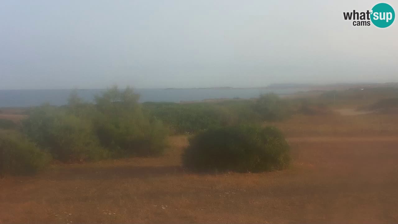 Plage Mari Ermi | Is Arutas – Oristano