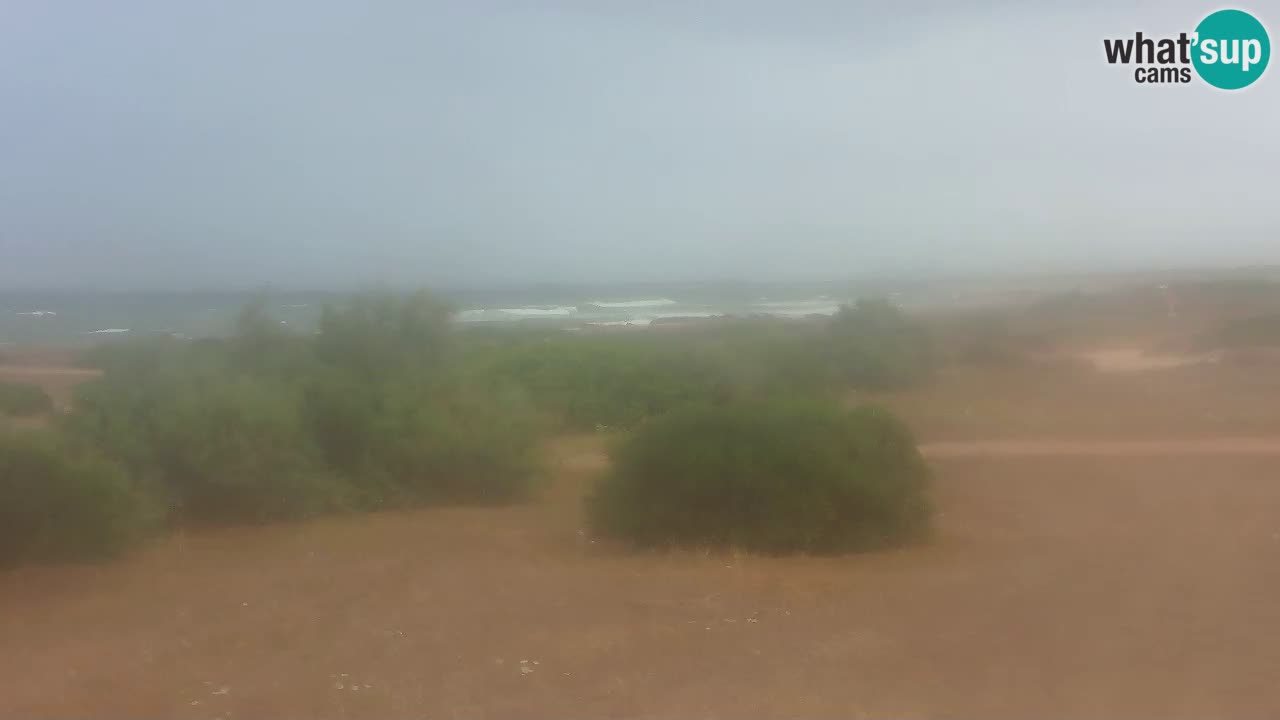 Mari Ermi Strand | Is Arutas – Oristano