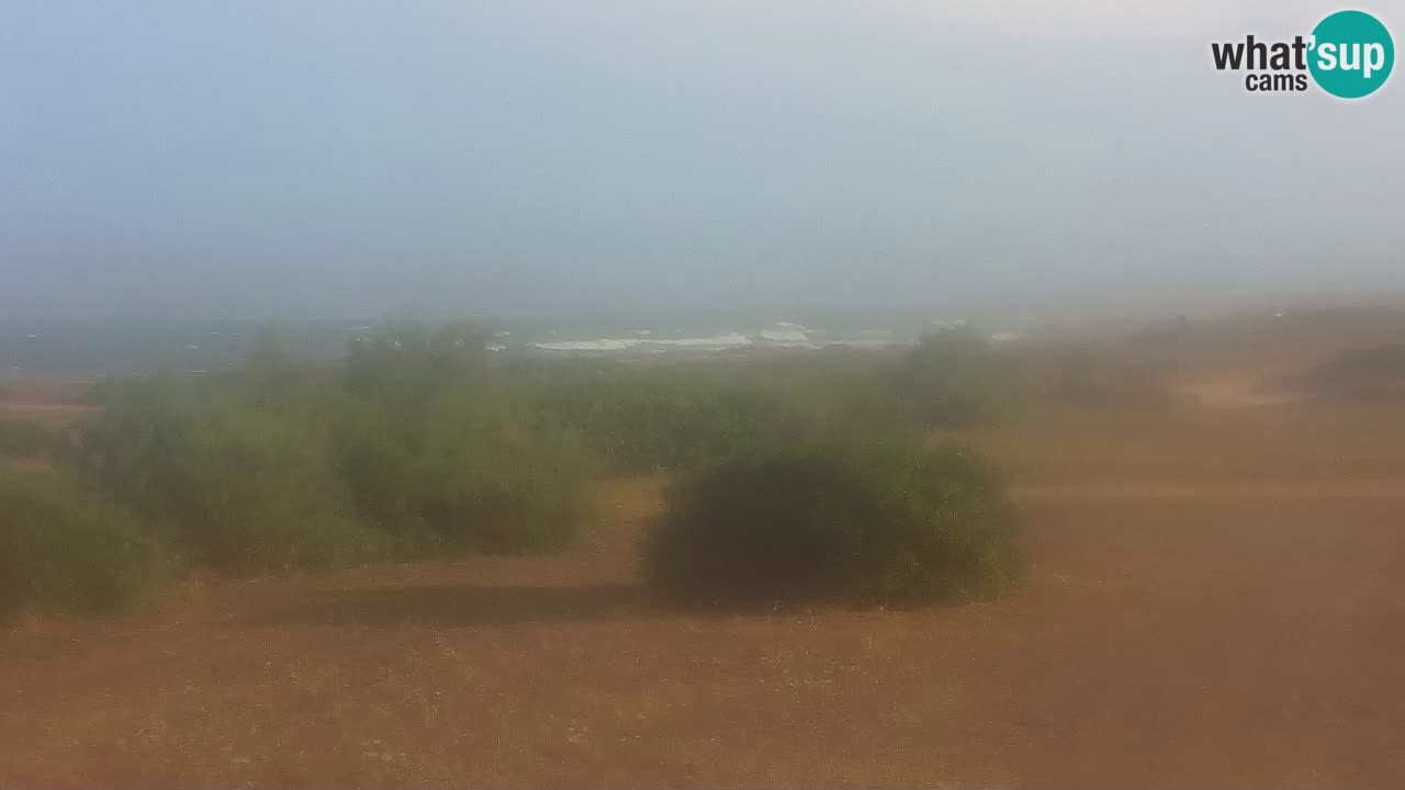 Mari Ermi Strand | Is Arutas – Oristano