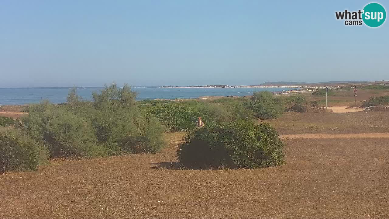 Spiaggia Mari Ermi | Is Arutas – Oristano