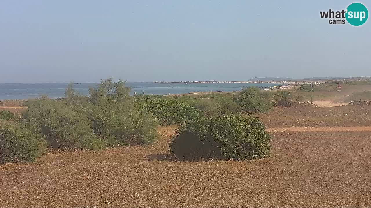 Playa Mari Ermi | Is Arutas – Oristano