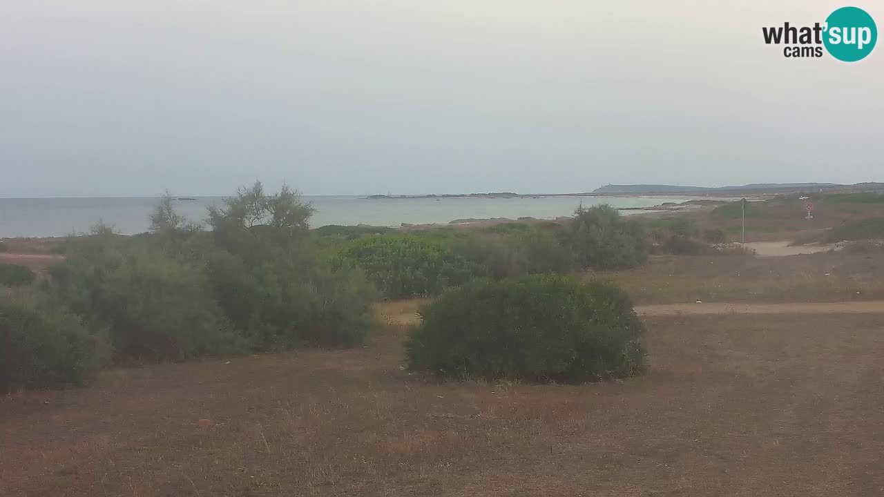 Plaža Mari Ermi | Is Arutas – Oristano