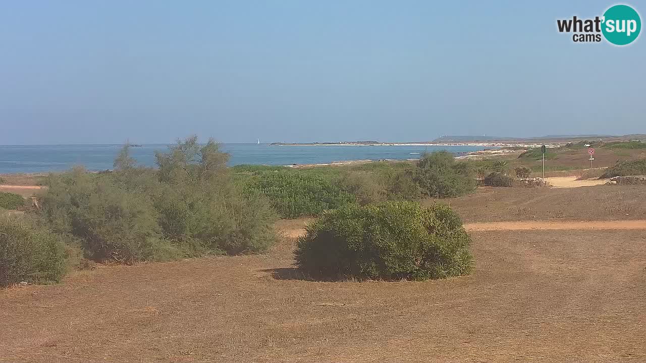 Plaža Mari Ermi | Is Arutas – Oristano