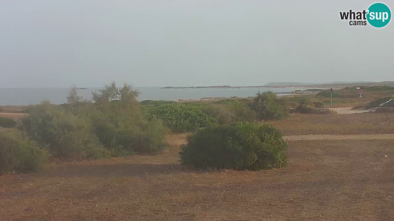 Mari Ermi Strand | Is Arutas – Oristano