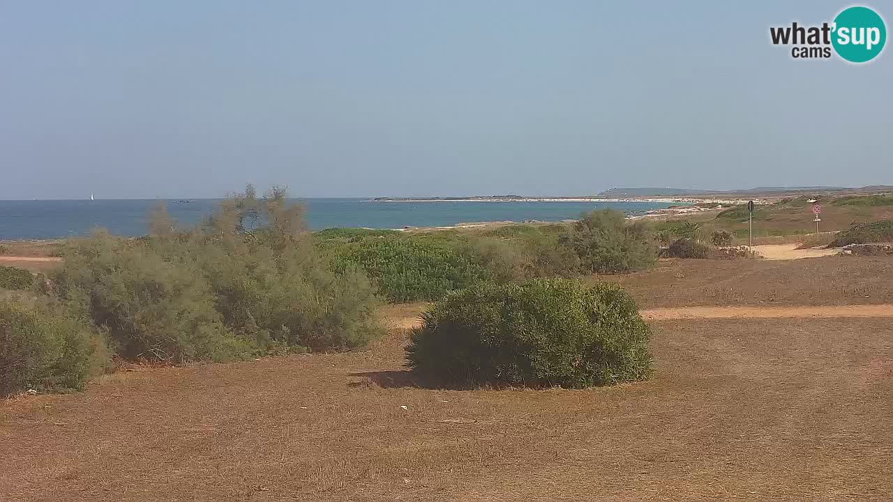 Plage Mari Ermi | Is Arutas – Oristano