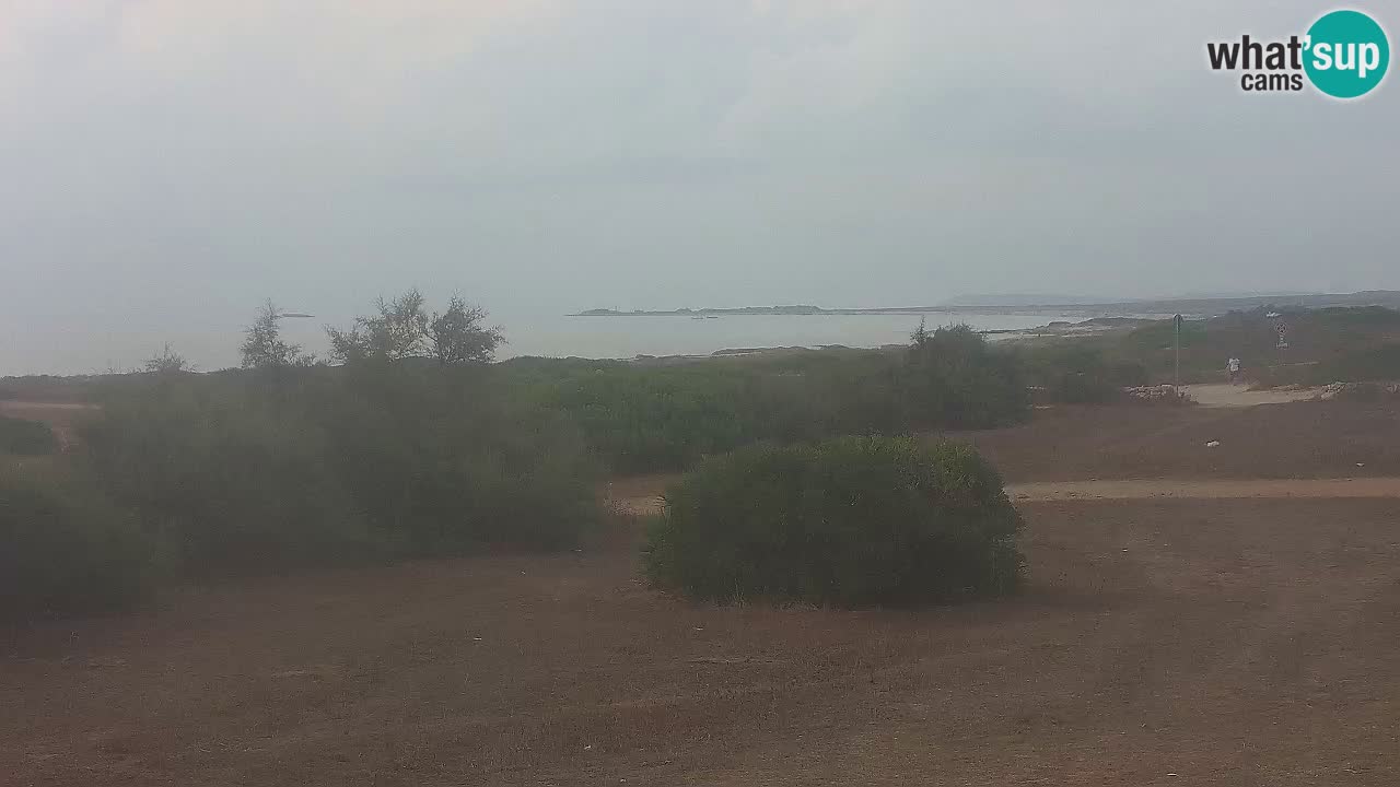 Playa Mari Ermi | Is Arutas – Oristano