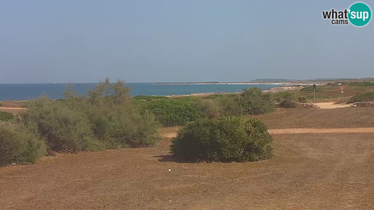 Mari Ermi Strand | Is Arutas – Oristano